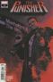 The Punisher, Vol. 12